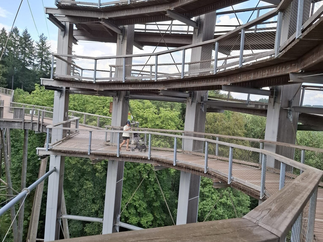 Treetop Path Saarschleife-Orscholz必去景点
