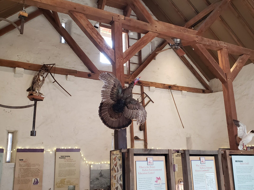 Honey Hollow Nature Center-纽霍普必去景点