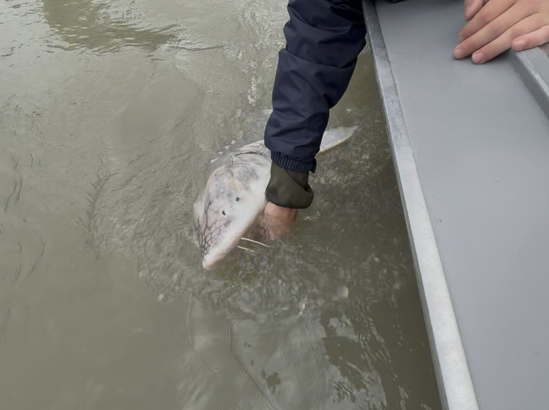 Bluewater Rockies Sportfish Guiding Co.-奇利瓦克必去景点