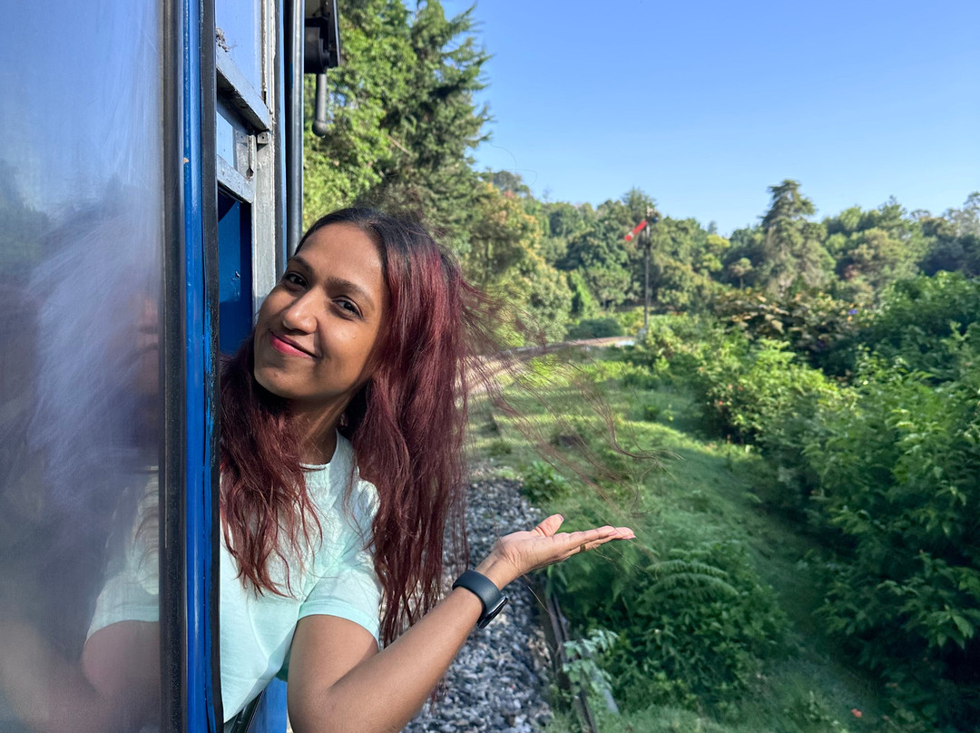 Nilgiri Mountain Railway-乌提必去景点