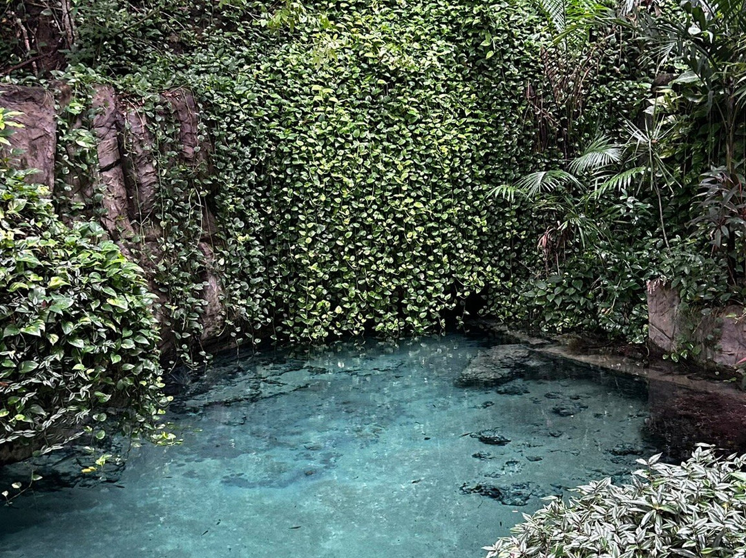 Olheiro Spring-Pureza必去景点