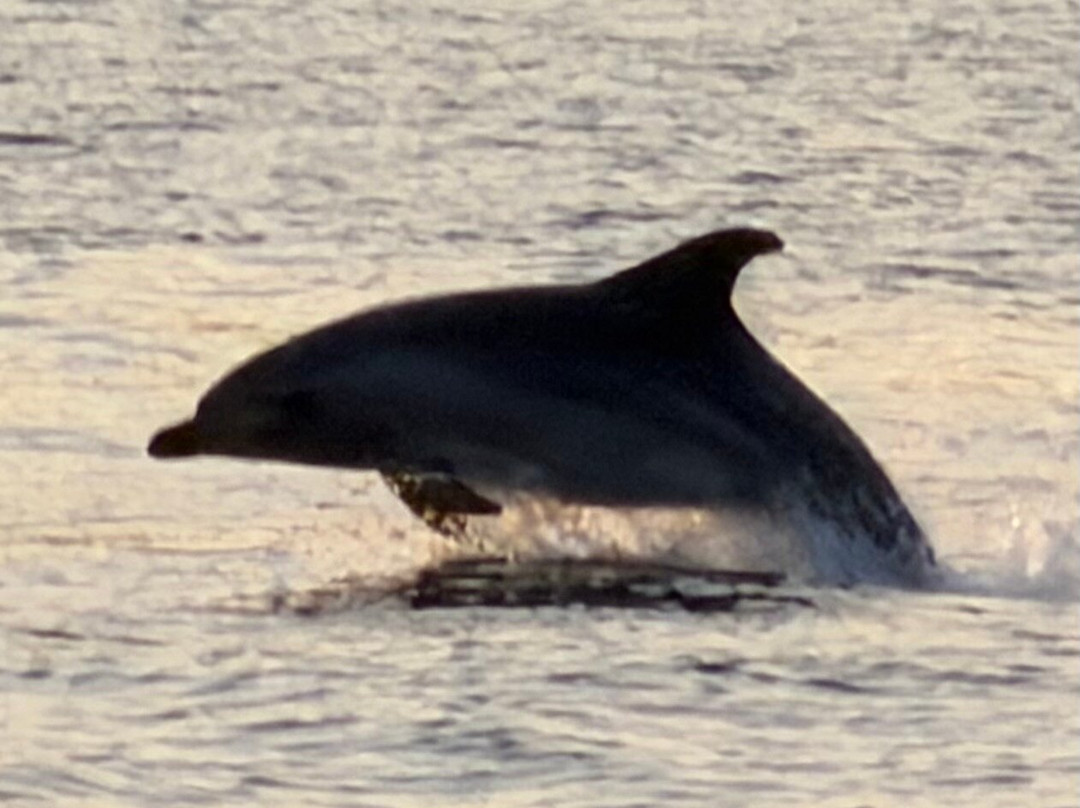 TUI Blue Medulin主图