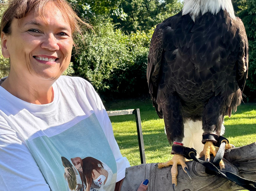 Falconry Experience Wales-Newtown必去景点