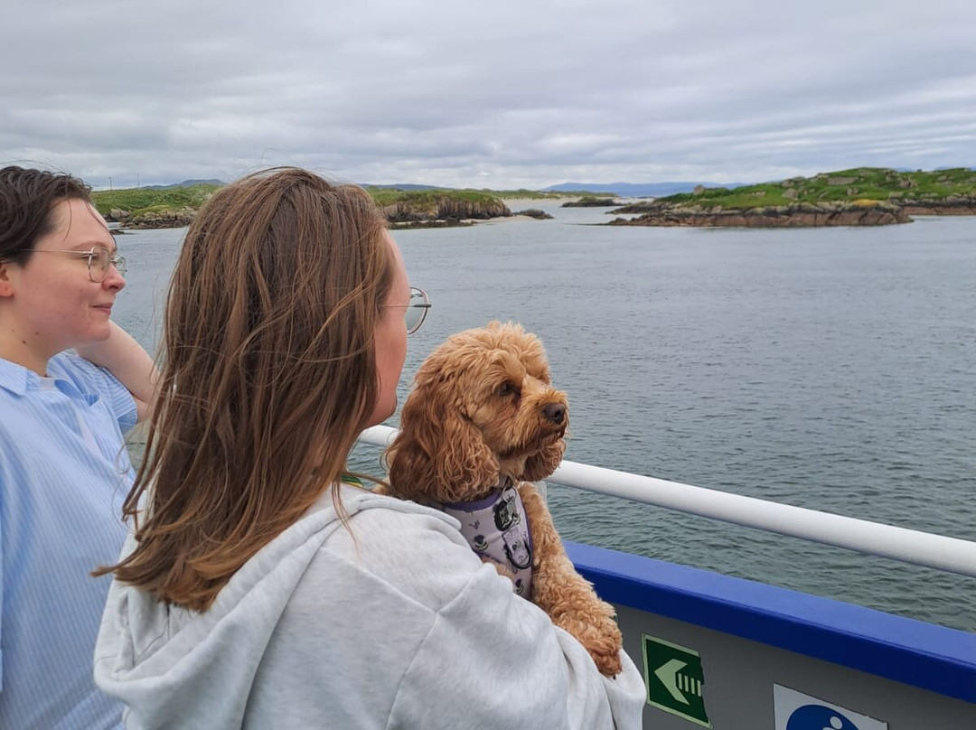 The Arranmore Ferry-Burtonport必去景点