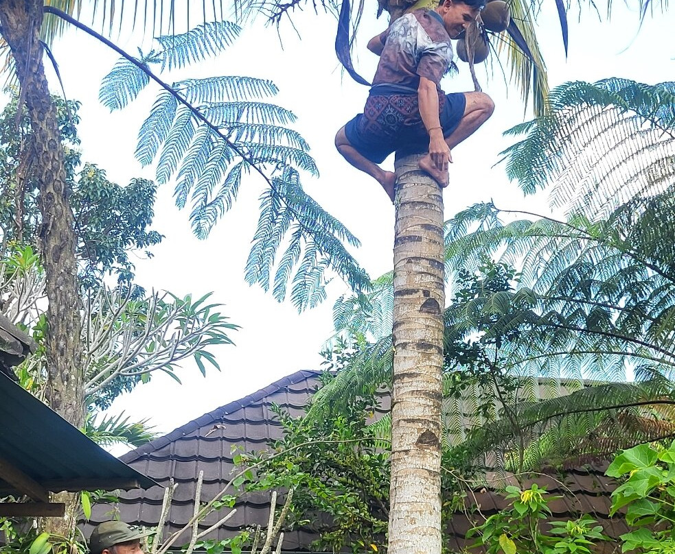 Kubu Terrace Jatiluwih Official-Jatiluwih必去景点