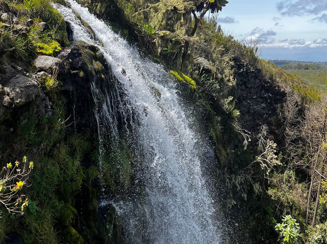 Kenya Wildlife Service-肯尼亚山国家公园必去景点