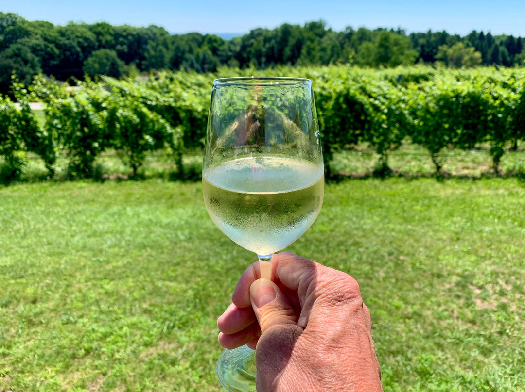 Mari Vineyards-特拉弗斯城必去景点
