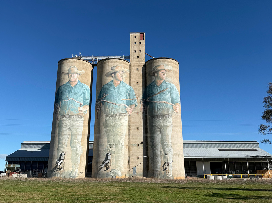 Barraba Silo Art-Barraba必去景点