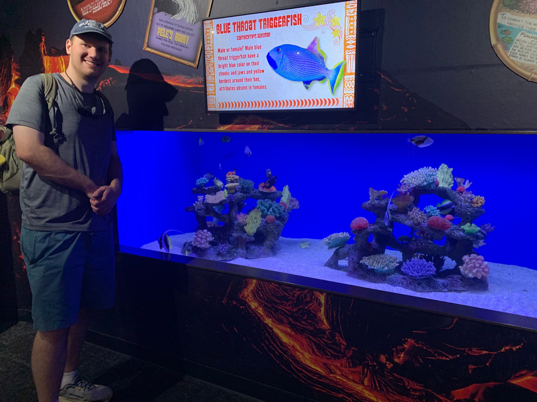 莱利大烟山水族馆-盖林柏格必去景点