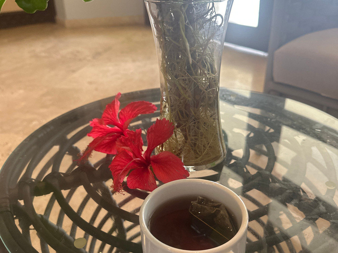 巴拿马梦想波尼塔海滩酒店 - 全包式主图