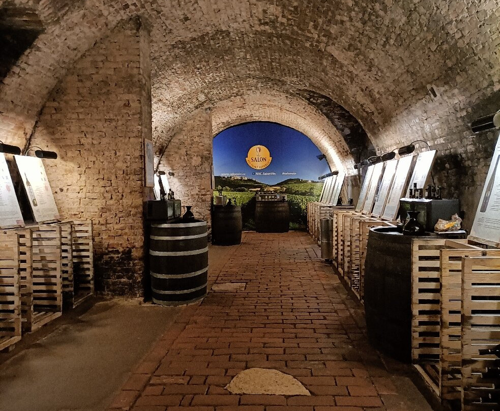 National Wine Salon (Národní salon vín)-Valtice必去景点