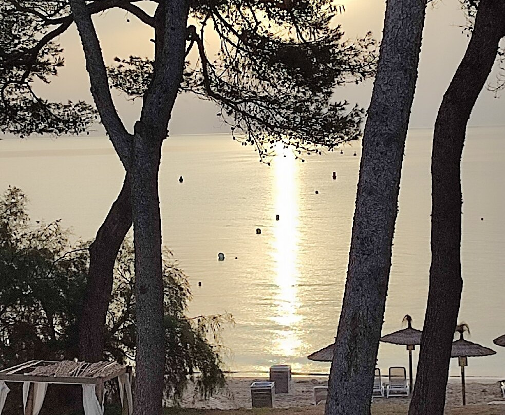 穆罗海滩伊贝罗斯塔海浪酒店主图