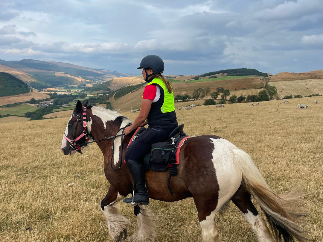 Freerein Riding Holidays-Clyro必去景点