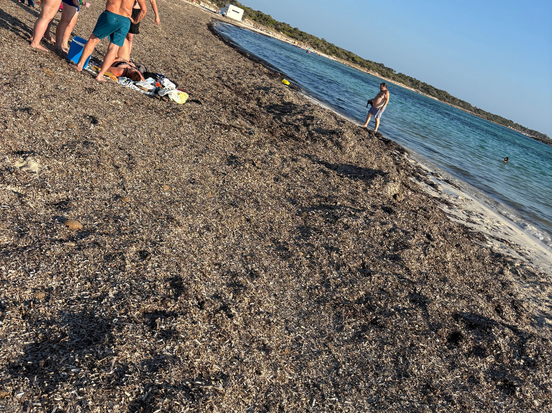 Platja d'es Trenc-Campos必去景点