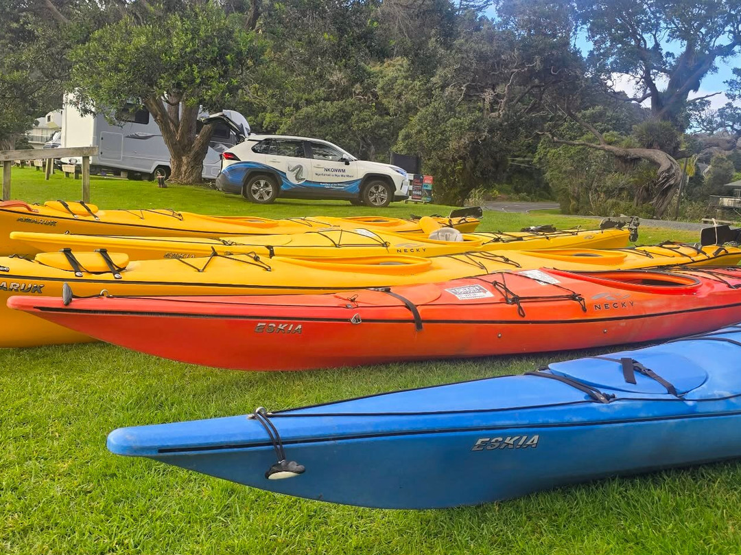 Pacific Coast Kayaks-Tutukaka必去景点