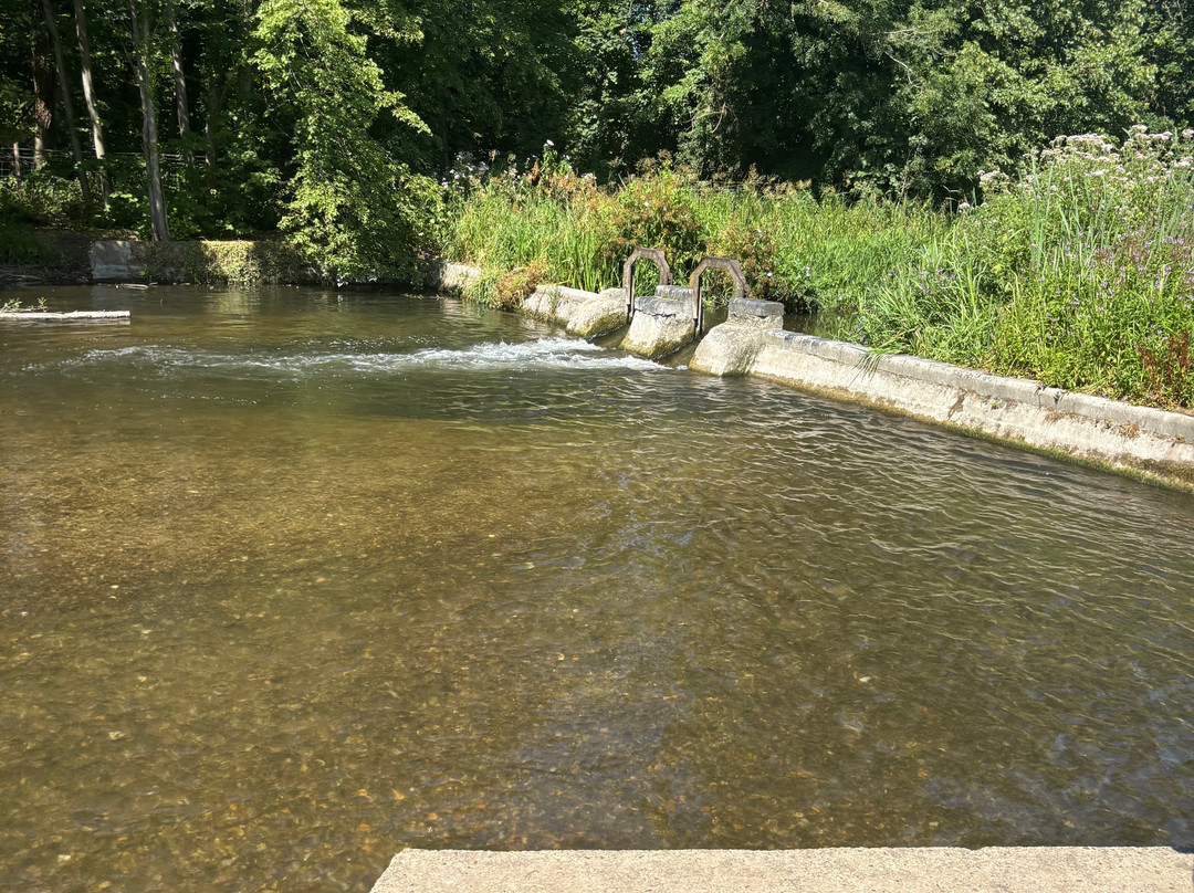 Cassiobury Park-沃特福德必去景点