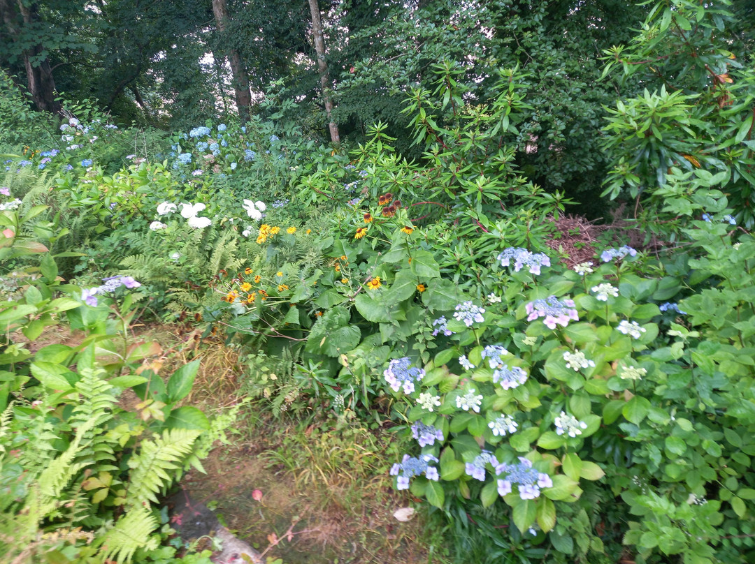 Arbigland House and Gardens-邓弗里斯必去景点
