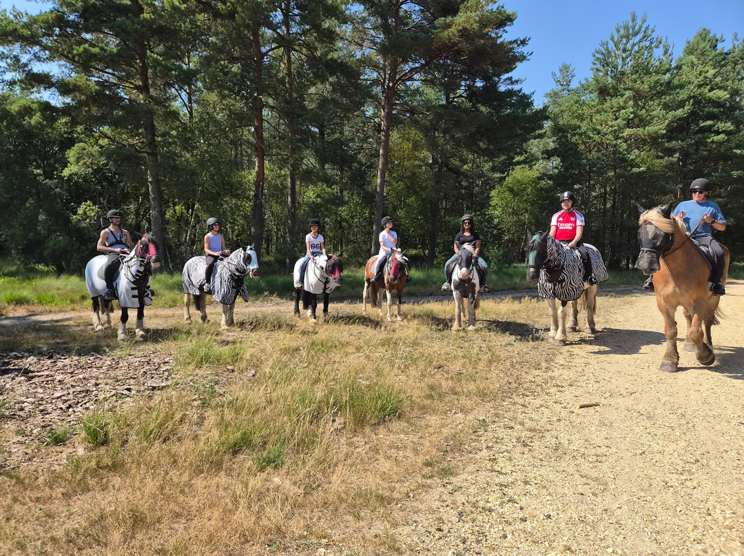 Eastmoors Forest Rides-St Leonards必去景点