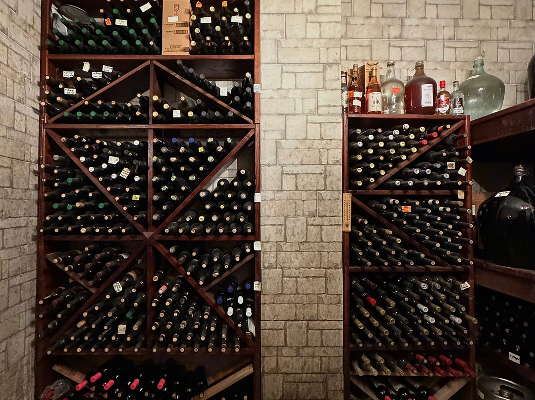 Vazha Davitadze's Winemaking and Wine Cellar-巴统必去景点