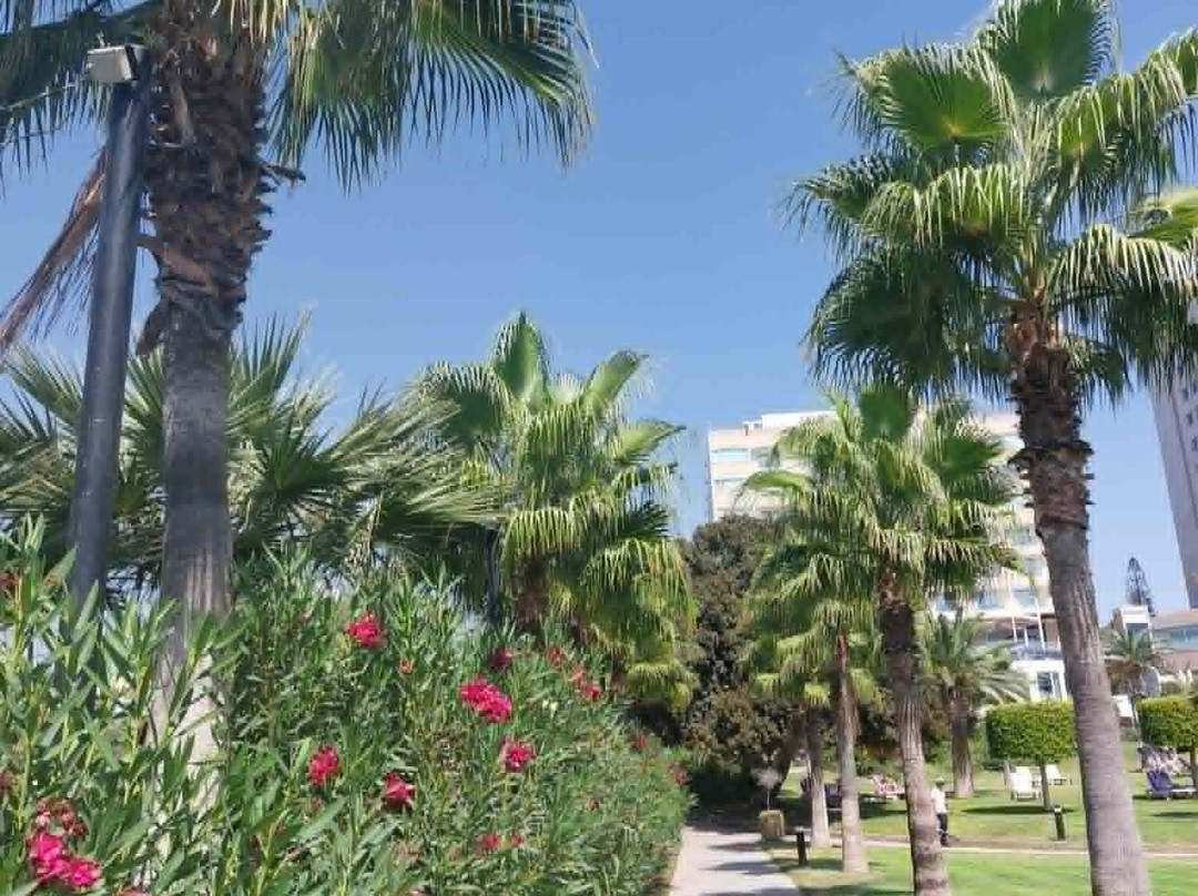 St Raphael Resort主图