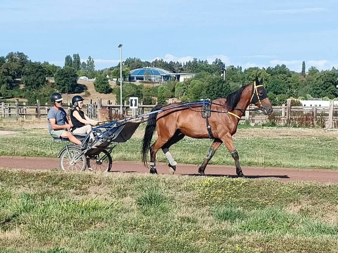 Hippodrome de Bellerive-Bellerive-sur-Allier必去景点