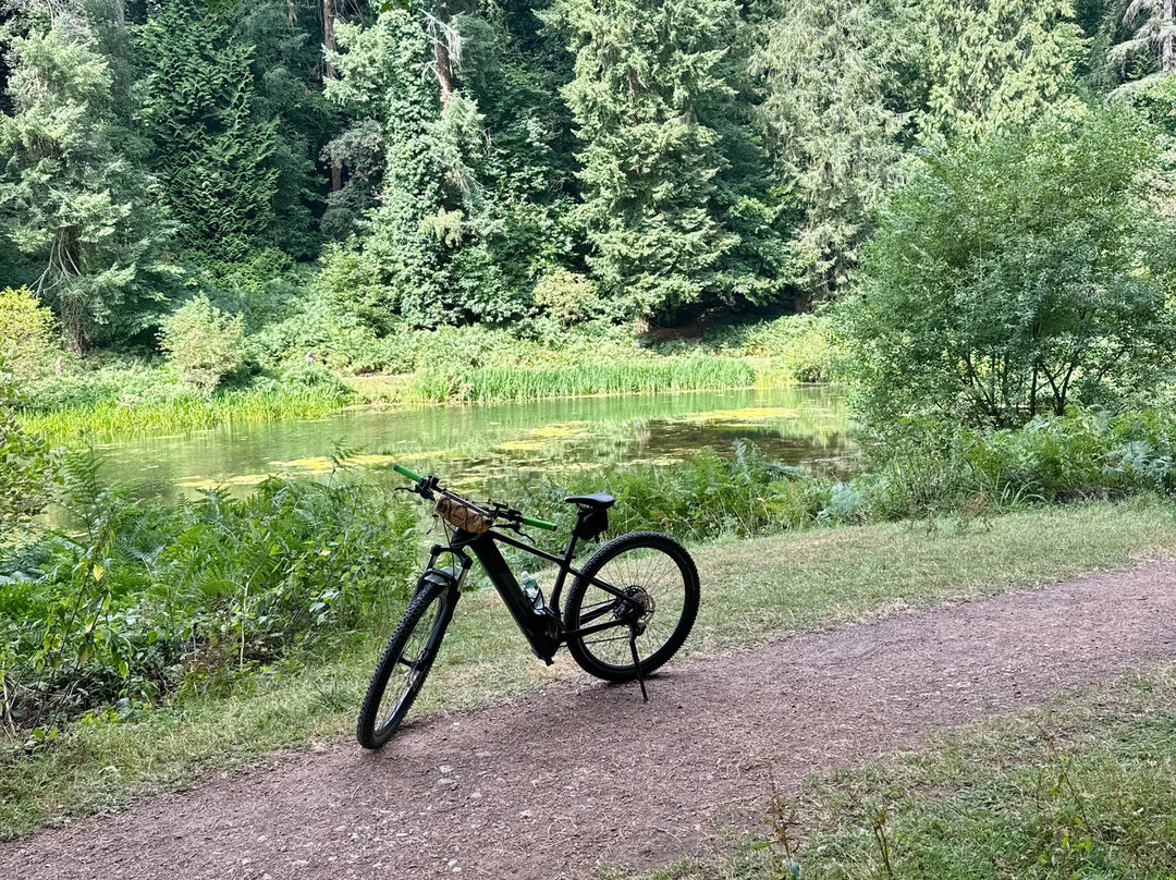 Wye-Bikes-Coleford必去景点
