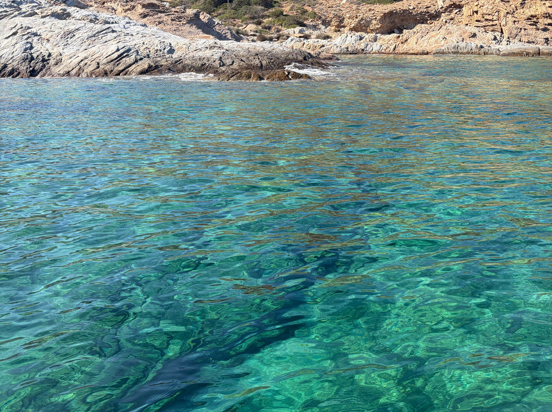 Meltemi Boat Tours, Watersports & Diving-Milopotas必去景点