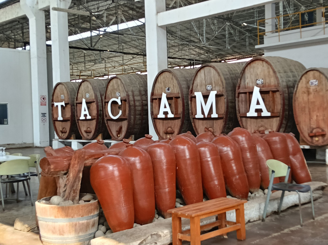Tacama-伊卡必去景点