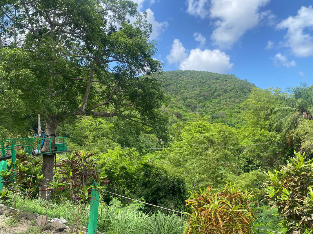 Antigua Rainforest Canopy Tour-安提瓜必去景点