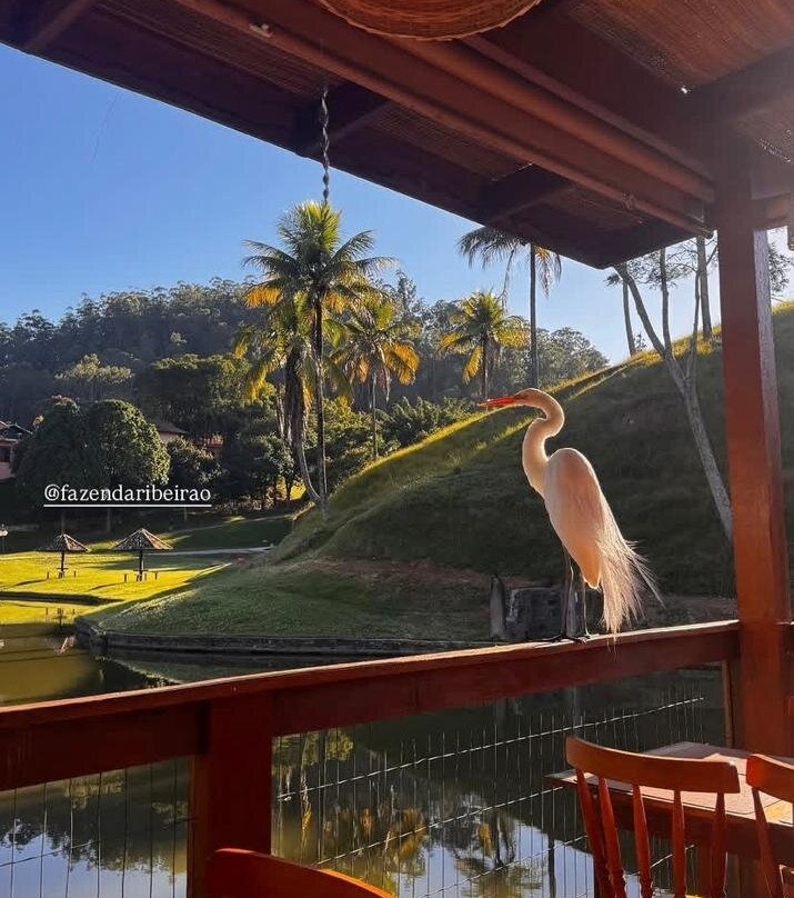 Fazenda Ribeirão Hotel De Lazer主图