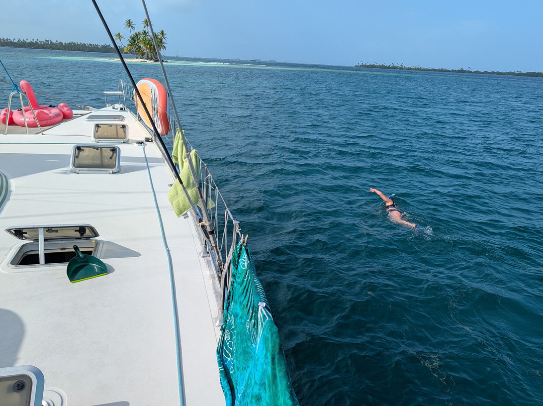 Flying Ginny Catamaran Charter-埃尔波韦尼尔必去景点