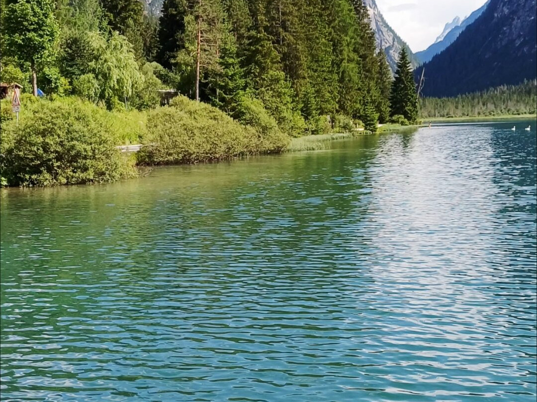 Lago di Dobbiaco-多比亚科必去景点