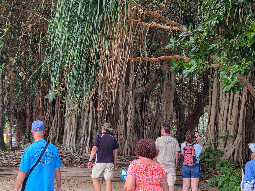 Magnetic Island Tours-Nelly Bay必去景点