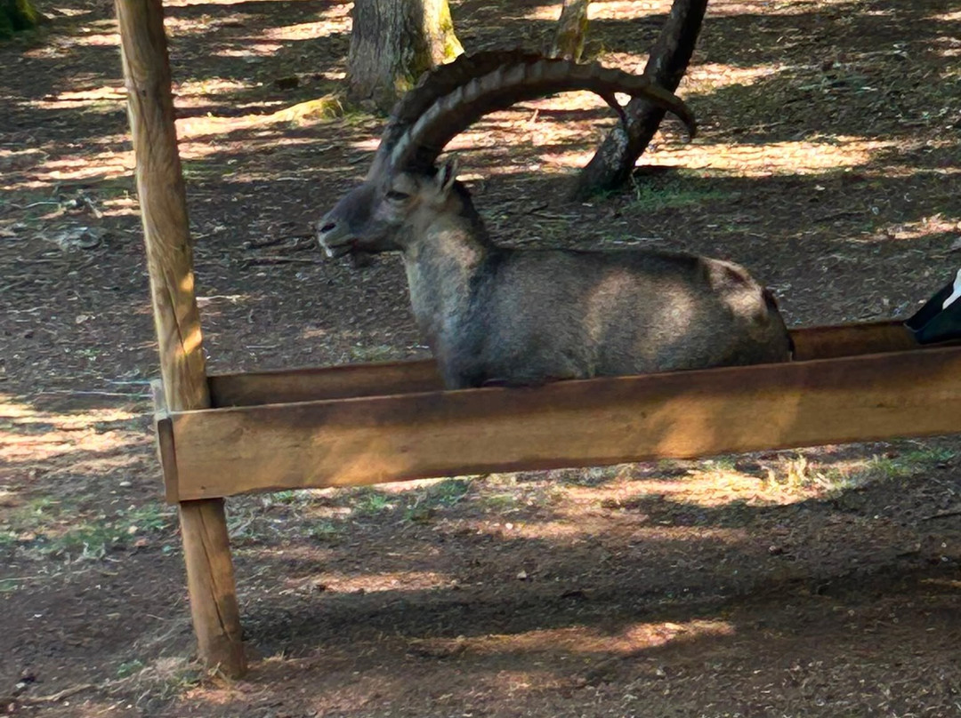 Parc Animalier De Gramat-Gramat必去景点