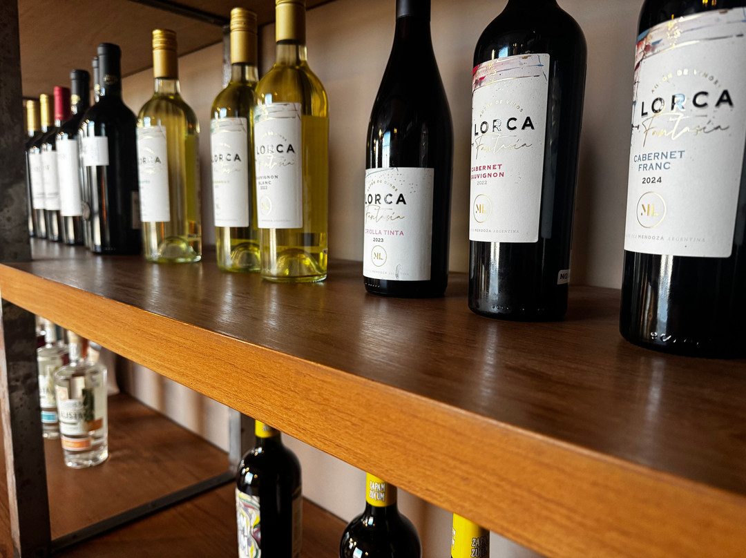 Bodega Mauricio Lorca-路冉得库约必去景点