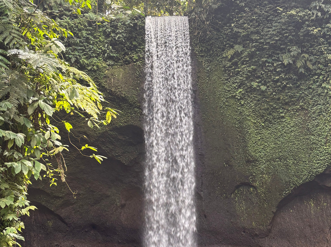 Tibumana Waterfall-Apuan必去景点