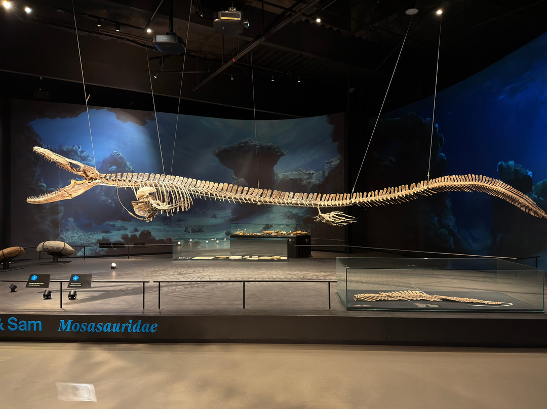 Dinosauria Museum Prague-Tuchomerice必去景点