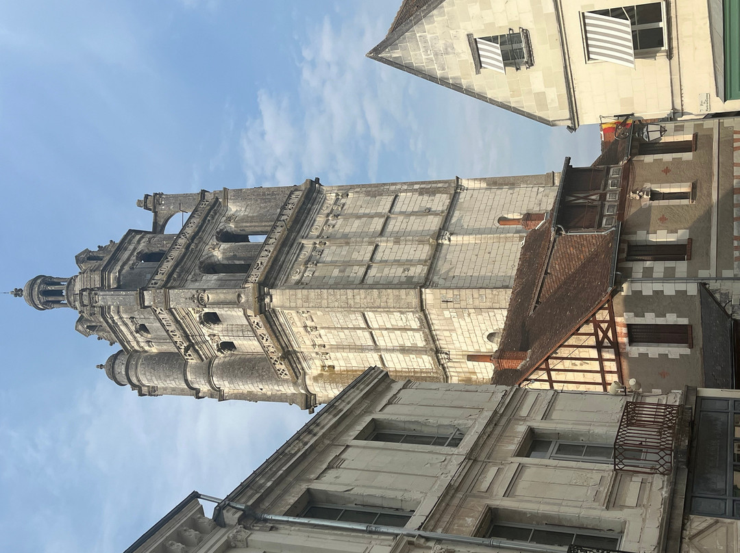 Cité Royale de Loches-Loches必去景点
