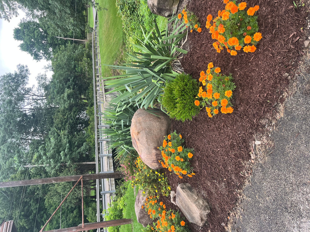 Chestnut Ridge Campground