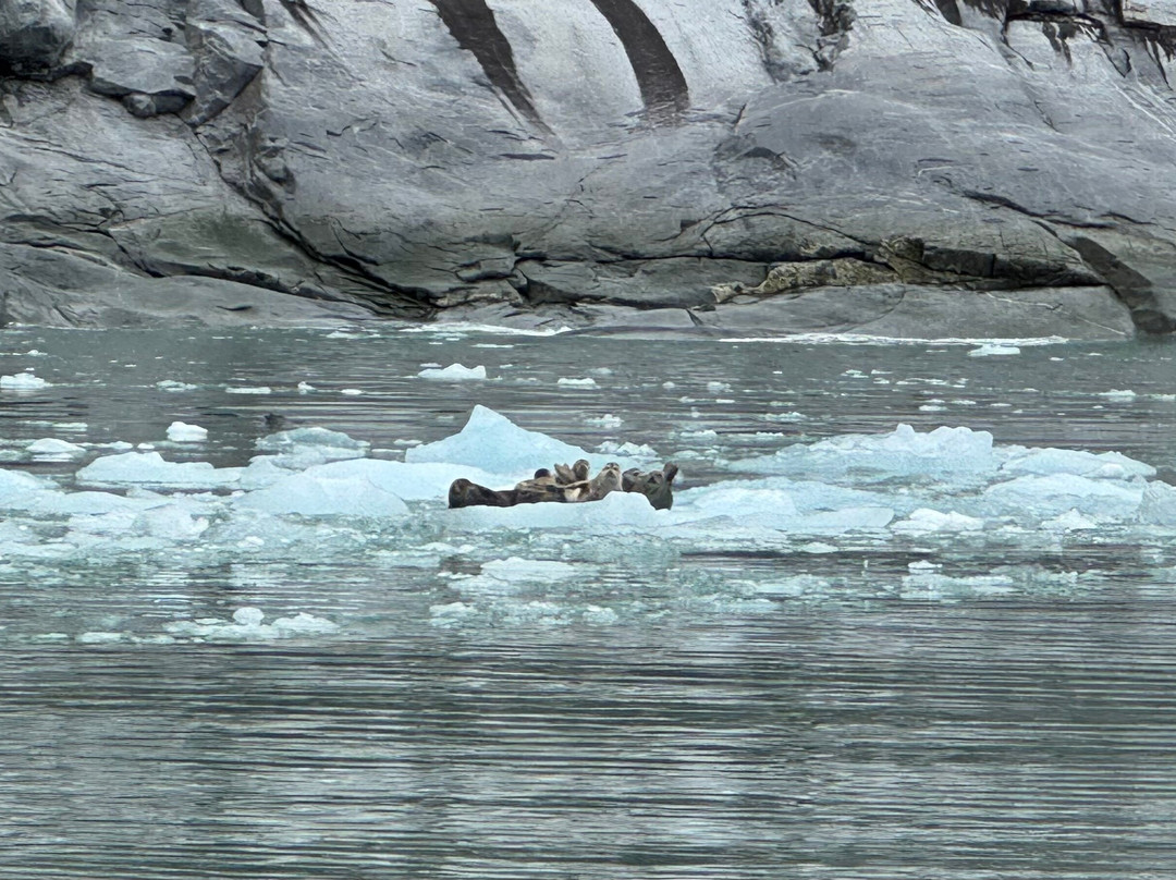 Seek Alaska Tours-Petersburg必去景点