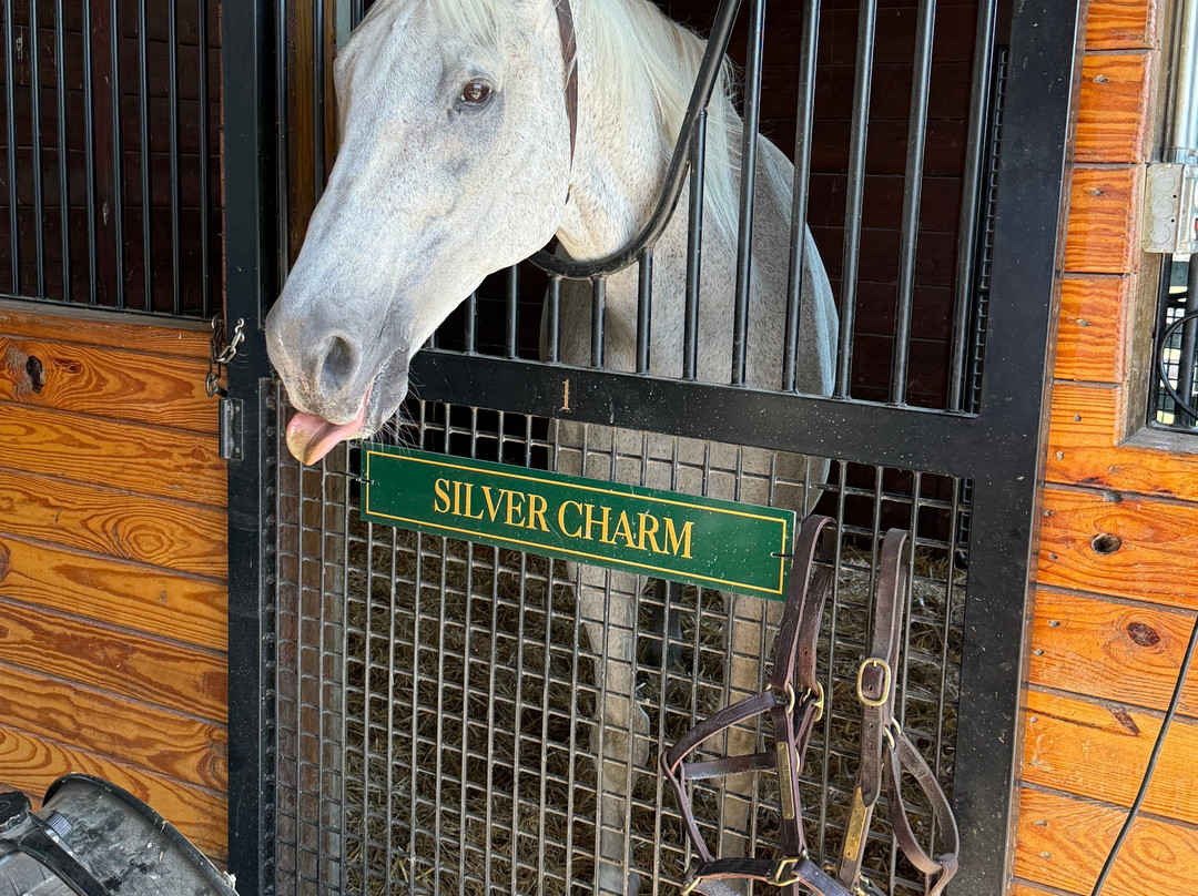 Old Friends at Dream Chase Farm-Georgetown必去景点