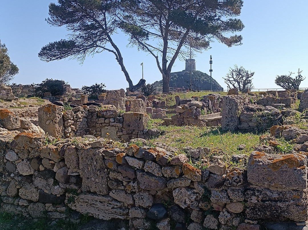 Area Archeologica di Nora-普拉必去景点