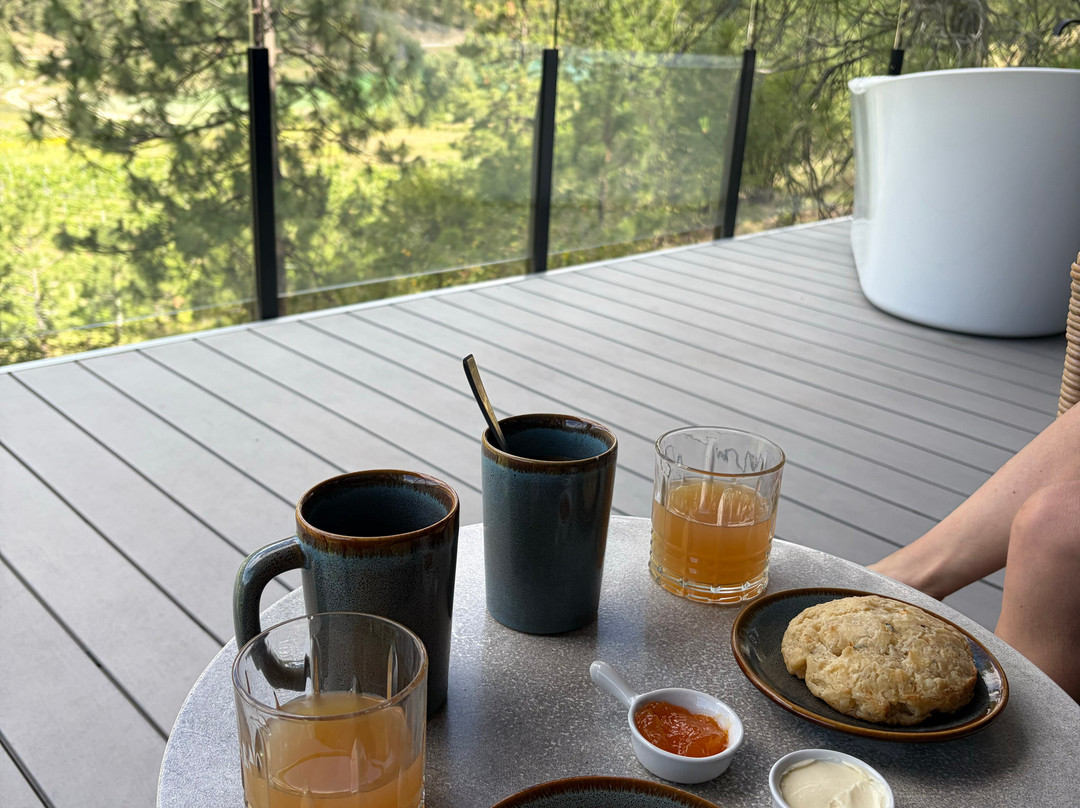 Nighthawk Vineyards-Okanagan Falls必去景点