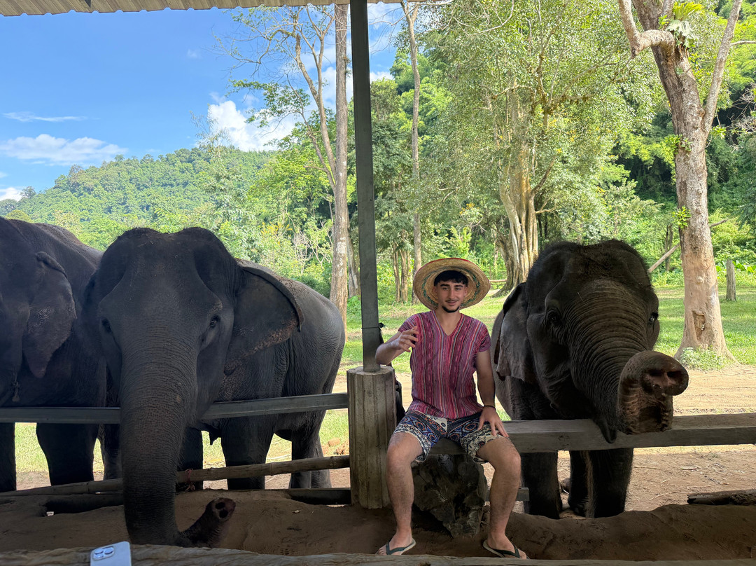 Pon Elephant Thailand-清迈必去景点