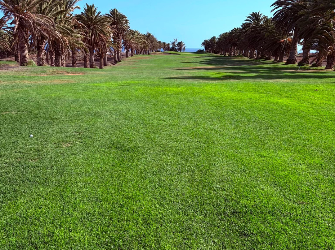 Costa Teguise Golf-科斯塔特吉塞必去景点