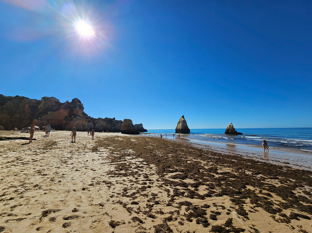 Praia dos Três Irmãos-阿沃必去景点