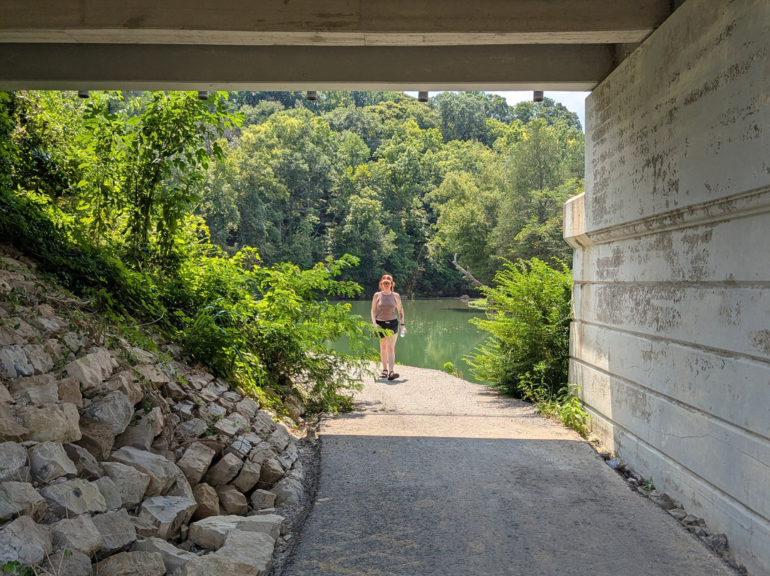 Sgt. Alvin C. York State Historic Park-Pall Mall必去景点