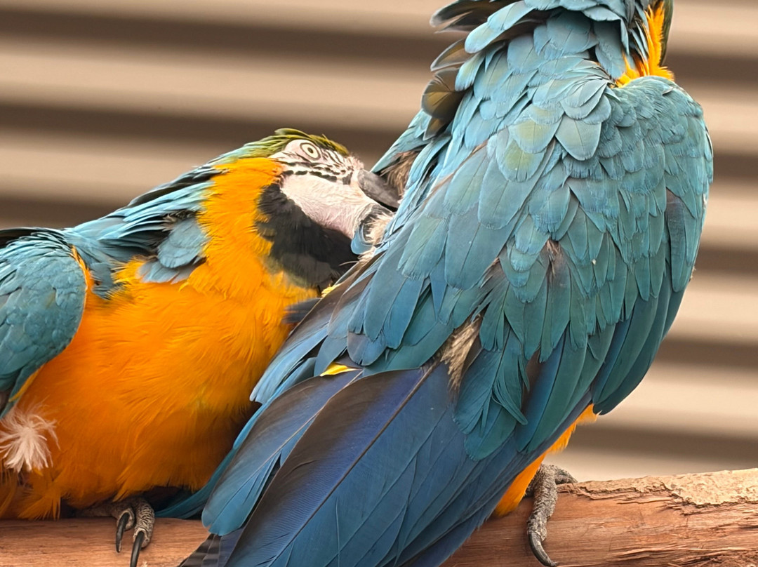 Wild Zoological Park-Bobbington必去景点
