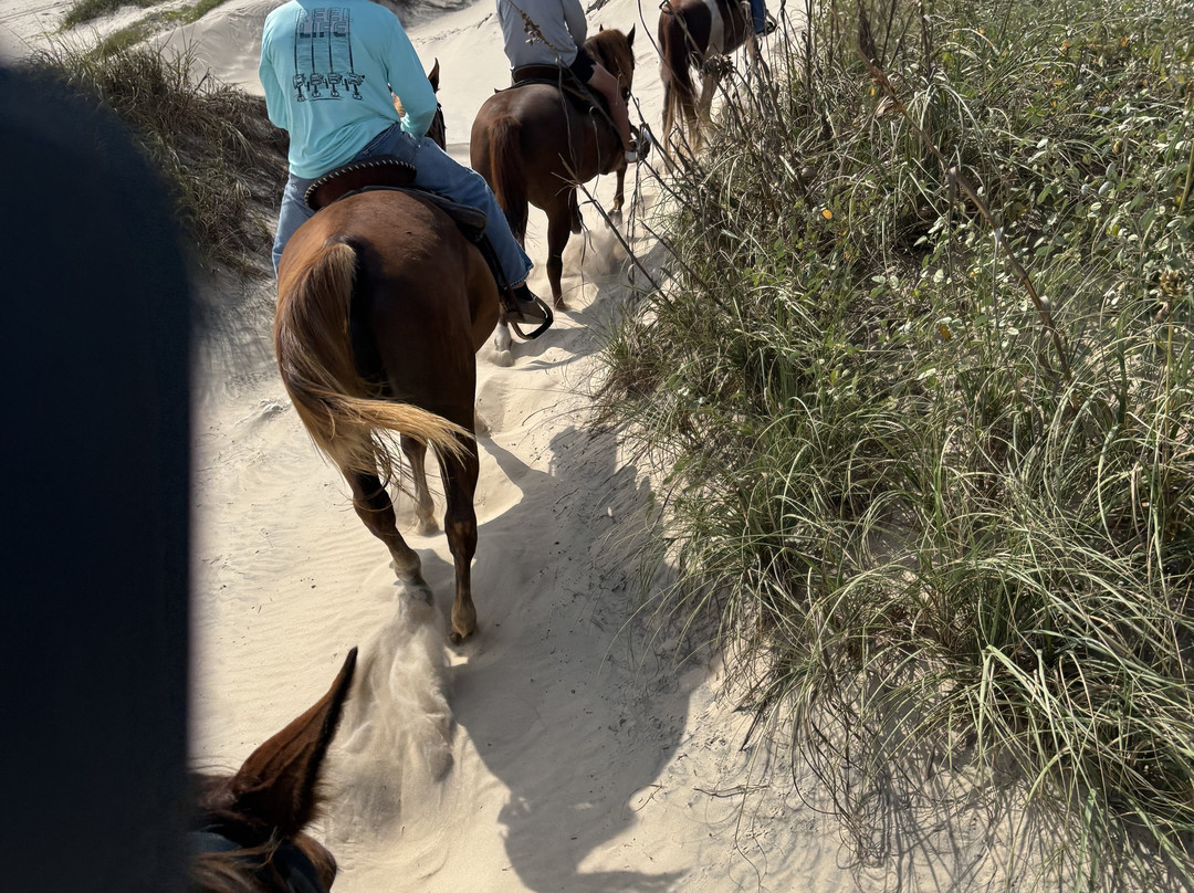 South Padre Island Adventure Park-南帕诸岛必去景点