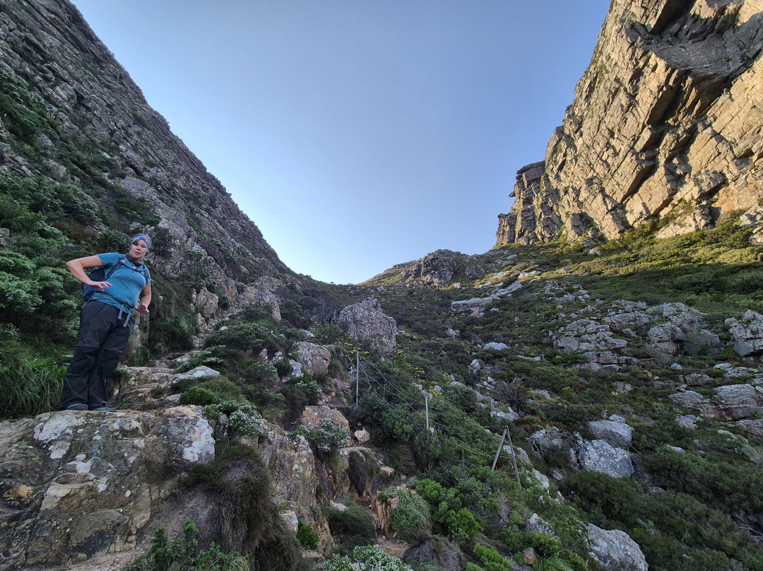 Table Mountain Walks-开普敦中心区必去景点